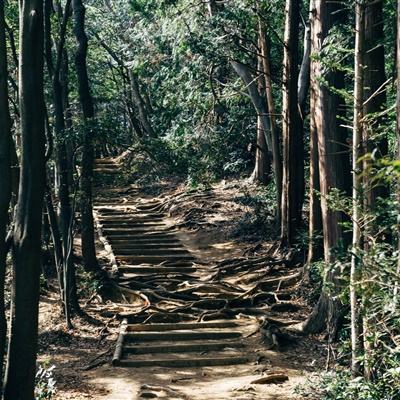 百度新征战手游下载