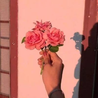 召唤之王破解版手游下载